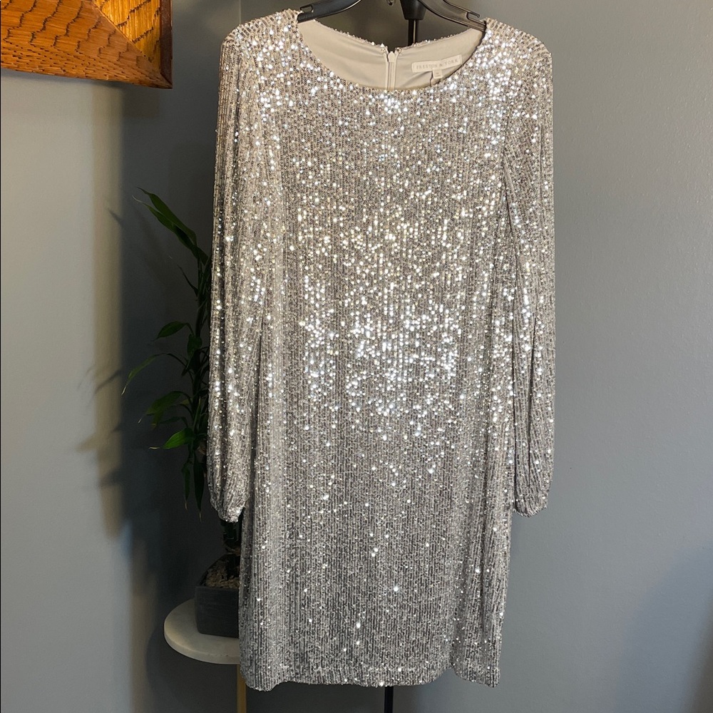 Preston & York Silver Sequin Dress - Never Worn!!